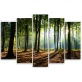 Leinwandbild 5 teilig, Waldgrün Natur 