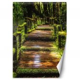 Fototapete, Brücke in einem grünen Wald 