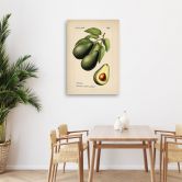 Leinwandbild, Obst Weinlese Avocado 