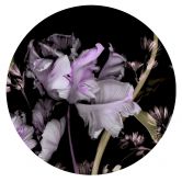 Digitaltapete Tiao Hua in 1,4 m x 1,4 m Fashion for Walls 4 von Guido Maria Kretschmer 