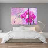 Leinwandbild 3 teilig, Wesentliche Orchideenabstraktion 