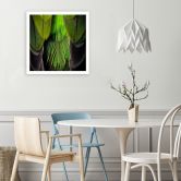 Canvas schilderij, Veren natuur 