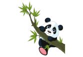 Fensterdekor Kletternder Panda 