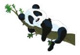 Fensterdekor Schlafender Panda 