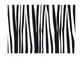 Fensterdekor Zebra Muster 2 