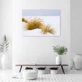 Leinwandbild, Dünen auf goldenem Sand 