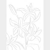 Fotobehang 1X Studio - Line Art Floral 