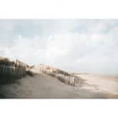 Fototapete Küste - Dünenlandschaft an der Nordsee - Annie 