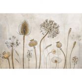 Fototapete Disher - Trockenblumen - aus der LandIDEE Wohnen & Deko Kollektion 
