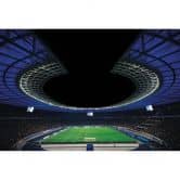 Fußball-Fototapete Hertha BSC - Volles Olympiastadion bei Nacht 