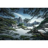 Fototapete Kiefernwald im Huang Shan Gebirge - NingYun Ye 
