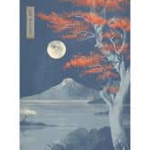 Fototapete Vollmond über dem Gipfel des Fuji-san | Japanische Landschaft - Roze 