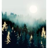 Fotobehang SpaceFrog Designs - Mistig Bos 