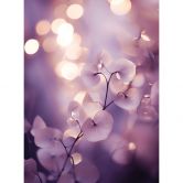 Fototapete Zarte Orchidee in Lila | Florale Tapete - Treechild 