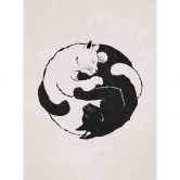 Fototapete Katzen Ying & Yang - Tunaboylu 