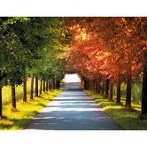 Fototapete Herbst - 336x260 cm 