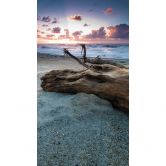 Fototapete Old Tree Trunk - 144x260 cm 
