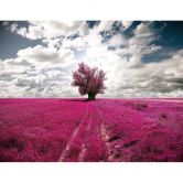 Fototapete The Lonely Tree - 336x260 cm 