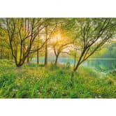 Fototapete Spring Lake 