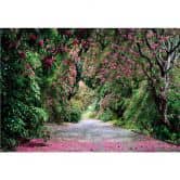 Fototapete Wicklow Park 