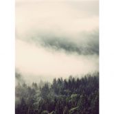 Fototapete Nebel im Wald 02 - 192x260 cm - aus der Cosy Kollektion 