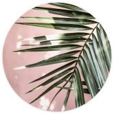 Fototapete Palmenblatt vor rosa Wand - Böhmer - Rund - Selbstklebend/Vlies 