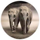 Fototapete Die Elefanten - Rund - Selbstklebend/Vlies 