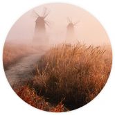 Fototapet - Rundt Eom - Misty Morning - vliesetapet/selvklæbende non-woven tapet 