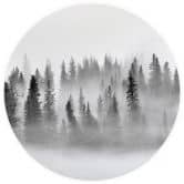 Fototapete Nebelwald in Schwarz-Weiß - Waldtapete Rund - Xu - Selbstklebend/Vlies 