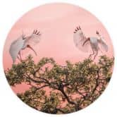 Papier peint photo rond Zhao - Birds at Sunset - papier peint intissé/papier peint intissé autocollant 