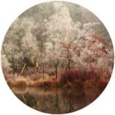 Fototapet - Rundt van Dongen - Frozen Forest - vliesetapet/selvklæbende non-woven tapet 