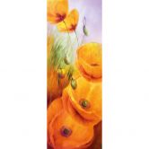 Fototapete Schmucker - Mohn im Feld - 96x260 cm 