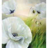 Fototapete Schmucker - Weißer Mohn 