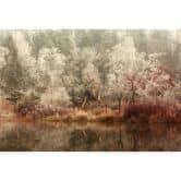 Fototapete van Dongen - Gefrorener Wald 