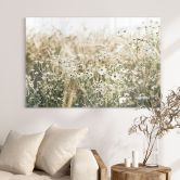 Glasbild Sommerwiese mit Kamille - Annie 