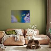 Glasbild Brown - Niedliche Spinne 