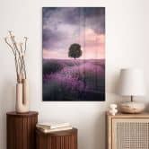 Glasbild Lila Lavendelfelder bei Sonnenuntergang - Cevik 