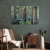 Glas billede Eucalyptus skov i Yarra Ranges - Colombo 