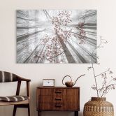 Glasbild Baumkronen mit roten Blättern - Coman 
