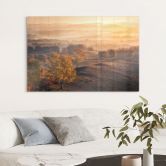 Glasbild Birkenbäume im goldenen Morgentau - Cui 