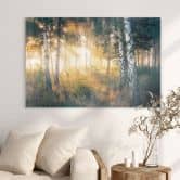 Glasbild Sonnenschein im Birkenwald - Kado 