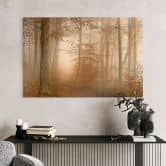 Glasbild Wald & Bäume - Dunst und Licht im herbstlichen Wald - Maier 