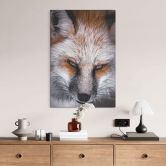 Glasbild Tierporträt Rotfuchs - Nagi 