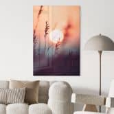 Glasbild Gräser im Licht der glühenden Sonne - Treechild 