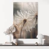 Tableau sur verre Pissenlit dans la rosée du matin - Treechild 