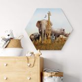 Hexagon - Alu-Dibond Afrikanische Tiere 