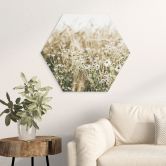 Hexagon Wandbild Sommerwiese mit Kamille - Annie - Alu-Dibond 