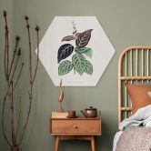 Hexagon Wandbild Blatt Illustration - Bignonia Argyro Violascea - Alu-Dibond 
