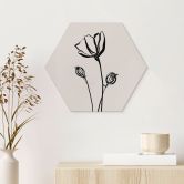 Hexagon Wandbild Line Art Mohnblume - Cats & Dotz - Alu-Dibond 