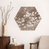 Hexagon Wandbild Zarte Gräser im Herbstlicht - Collins - Alu-Dibond 